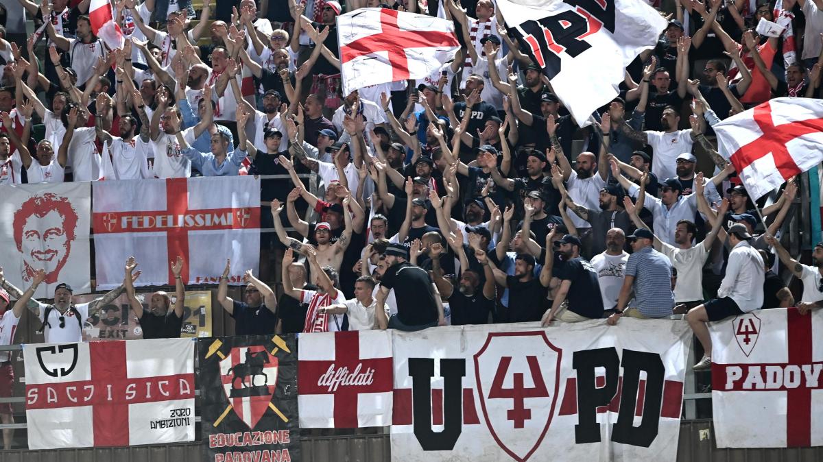 Il Gazzettino - Padova salvo, Bonavina: "Il gol di Pastina? Da un pezzo non esultavo così... Lavoriamo per ampliare la capienza dello stadio"
