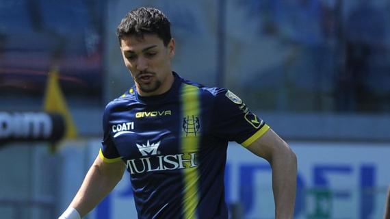 Pedullà: "Avellino, offerta a Barba. Calda la pista Insigne, cercato anche dal Bari"