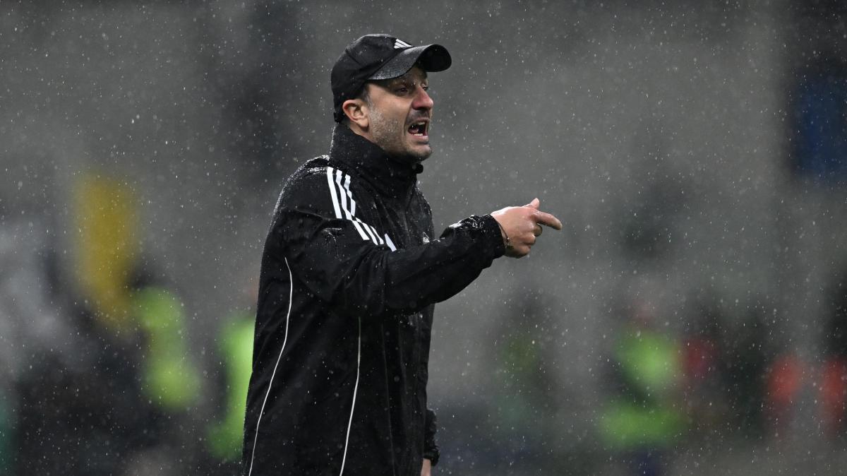 Pedullà: "Verona, in agenda incontro con Gilardino. Nella lista anche Baroni"