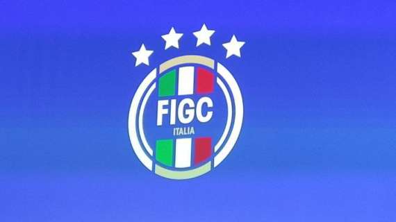 Processo plusvalenze, il comunicato della FIGC: 9 club e 52 dirigenti coinvolti