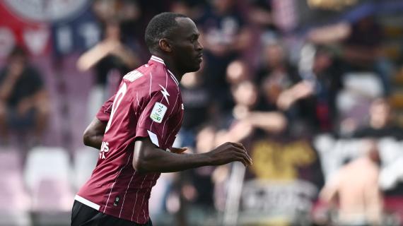 Le Cronache - Amatucci-Simy: la Salernitana va