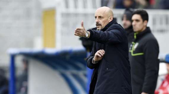 Novara, Di Carlo recrimina: "Due punti persi, solo l'arbitro non si è accorto del rigore"