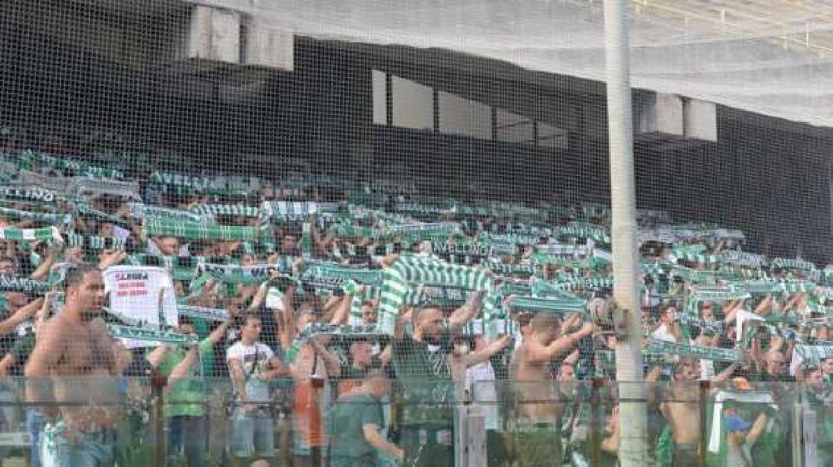 Cosenza-Modena 1-2, RIVIVI la CRONACA DEL MATCH - Tifo Cosenza