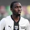 Parma-Arezzo 1-1: Kouda apre, Sala risponde. I crociati crescono nel finale