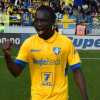 Cremonese, un rinforzo a centrocampo per la Serie A: idea Darboe della Roma