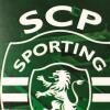 Sporting, tra poco l'allenatore Rui Borges in conferenza dopo la gara di Napoli