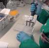 Coronavirus, primo caso sospetto di contagio dopo riapertura del pronto soccorso di Codogno