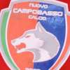 Ds Campobasso dopo l'esclusione dalla prossima Serie C: "Tre anni di lavoro buttati"...