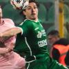 Avellino, Enrici: "Obiettivo primario era salvarsi, lo abbiamo raggiunto con grande...