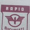 Rapid Bucarest, nuovo direttore sportivo: è l'ex Vejle Boldklub Mario Nicolae