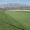 Mantova, il “Martelli” cambia nome: dal prossimo anno sarà il “Pata Stadium”