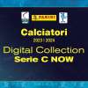 Immagine news 6