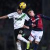 Pronostico Bologna-Sassuolo, derby emiliano d'alta classifica