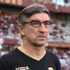 LIVE TMW - Torino, Juric: "Zapata non riposerà. Dobbiamo crescere come mentalità"
