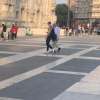 Immagine news 52