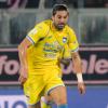 Da Di Nardo a Marchizza, la Sampdoria punta su giocatori che conoscano la Serie B...
