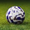 Serie C, il Giudice Sportivo: dal Rimini al Cittadella, sono otto le società multate...