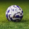 Serie C, 5ª giornata: il Giudice Sportivo del Girone B. Solo un'ammenda per il Livorno...