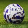 Serie C, vince il Vicenza, pari Cittadella e Foggia ko: la gol collection delle gare...