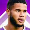 Pioli per ora 'spolvera' solo Sohm dal 1': gli acquisti della Fiorentina al debutto...