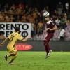 Arezzo, Coppolaro: "Promozione in B meritata. Ai playoff tifo Salernitana"