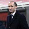 Juventus, Chiellini 'allontana' Kolo Muani: "Gioca al Tottenham, non è il caso di...