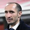 Juve, Chiellini: "Prima il ds poi il mercato. Rinnovo Yildiz? Calma, c'è la volontà...