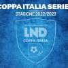 Serie D, e che finale di Coppa Italia sia! Il 27 maggio si affronteranno Pineto e Giana Erminio