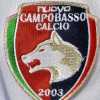 Ds Campobasso: "Innesti di categoria in ogni reparto. La Serie C non è la Serie D"