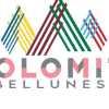 Dolomiti Bellunesi, prima l'iscrizione alla Serie C 2025-26. Poi la conferma di Zanini...