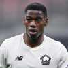 Quote calciomercato Napoli David, un altro ex Lille dopo Osimhen?