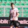 Palermo-Frosinone, i convocati di Dionisi: problemi in difesa, out Ceccaroni e Magnani