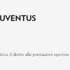 Immagine news 12