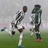Immagine news 11