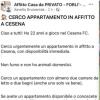 Immagine news 4