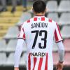 Vicenza, Sandon: "Punto guadagnato con il Brescia, partita sottotono"