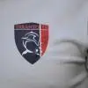 Beffa Taranto, in D ci va il Galdiator. A fine gara ira dei tifosi: aggrediti i calciatori...