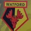 Watford, salta la terza panchina: esonerato Pearson, si attende l'ufficialità