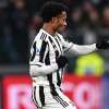 Immagine news 5
