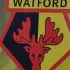 Pozzo pesca dal Bayern: 'mister 37 km/h' Irankunda al Watford. Nani: "E' speciale...