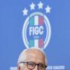 Immagine news 2