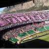 Palermo, il fondo York interessato al club: giro d'affari da 20 miliardi