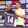 Fiorentina, Ferrari su Nicolussi Caviglia: "Ennesimo italiano. Felici che ci abbia...