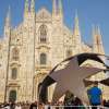 Immagine news 68