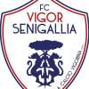 TMW - La Vigor Senigallia resiste alla concorrenza e blinda Kerjota. Blindato in...