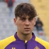 La Vis Pesaro nel mirino e la gioia della Nazionale. Pontedera, Vannucchi si racconta...