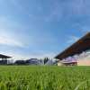 Fiorentina, il programma del ritiro: 14 luglio il via; 14 agosto gara con gli universitari...