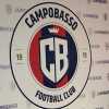 Campobasso, Figliomeni: "Città che vive di calcio e la sua tifoseria merita il massimo"...
