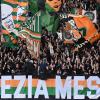Immagine news 1