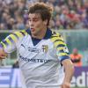 Parma, Cremaschi: "Pellegrino? Se va via ci mancherà ma saremo felici per lui"
